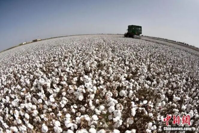 ?????: ??? ???????? ??? ?????? ??? ?? ???? ???? ???? ?????