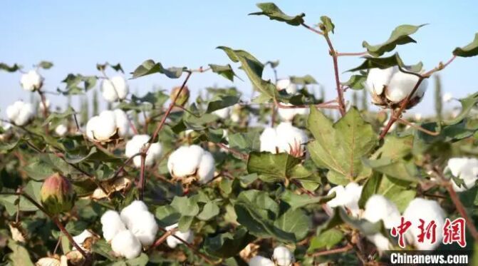 ?????: ??? ???????? ??? ?????? ??? ?? ???? ???? ???? ?????