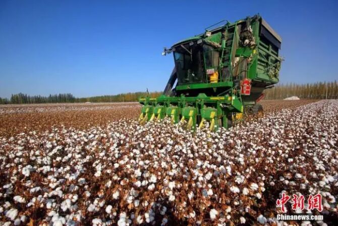 ?????: ??? ???????? ??? ?????? ??? ?? ???? ???? ???? ?????