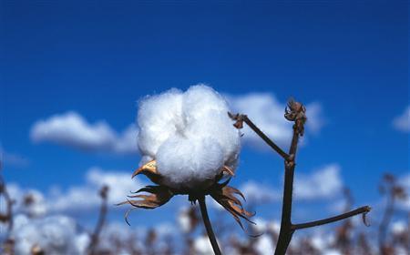 ????? ??????: ????? ???? ????????? ??????? ??? ???? ????? ?? ????????