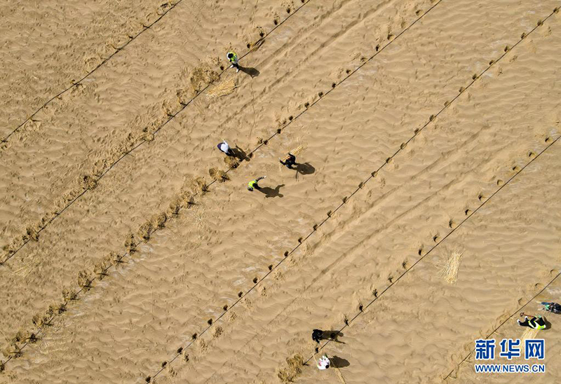 ????????: ????? ????? ??????