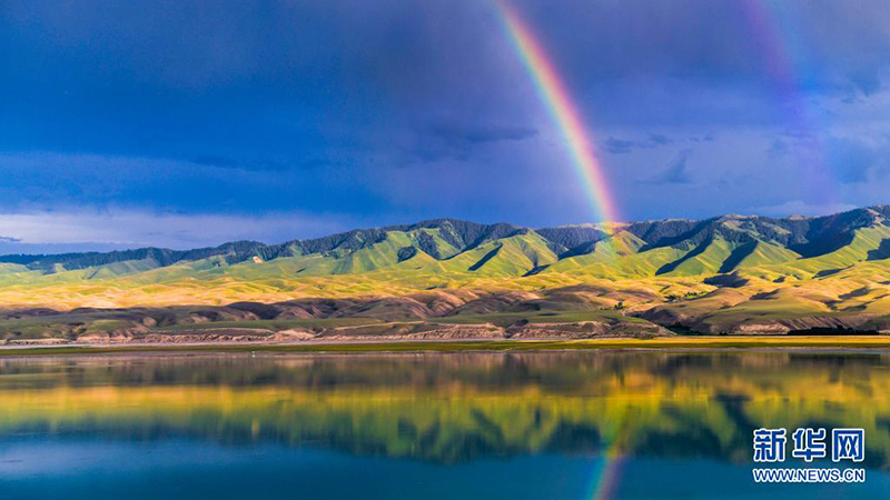 ????????.. ??? ?????? ??????