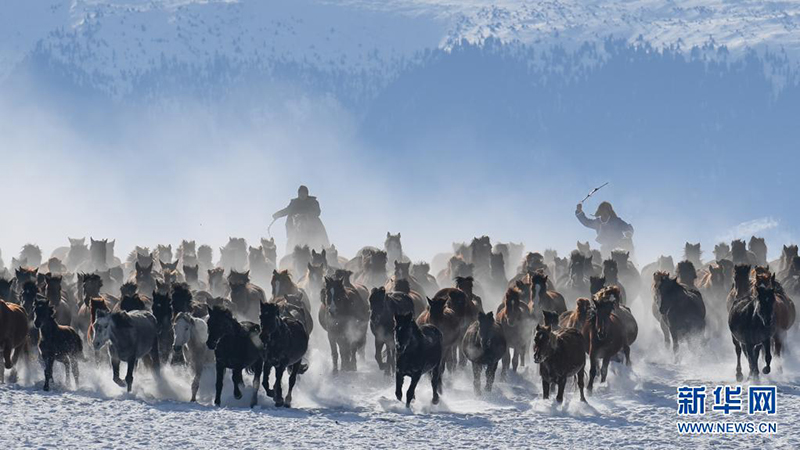 ????????.. ??? ?????? ??????