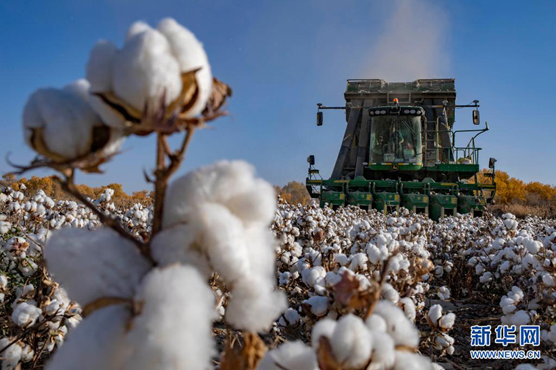 ????????.. ??? ?????? ??????