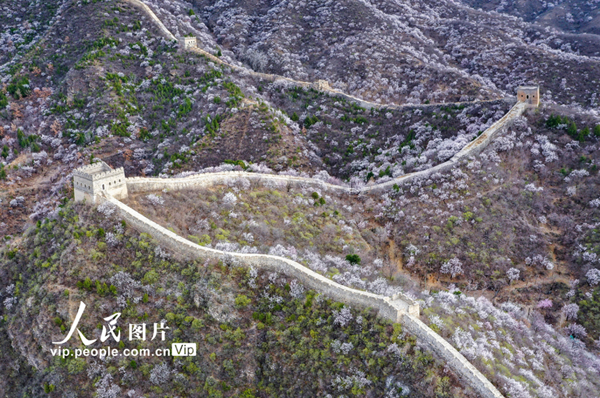 ????: ????? ?????? ???????? ???? ??? ????? ??????