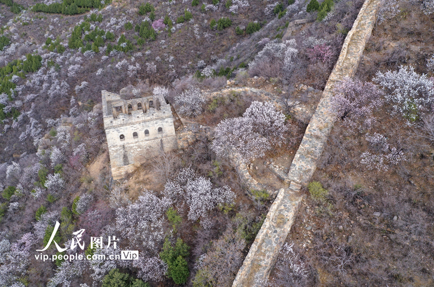 ????: ????? ?????? ???????? ???? ??? ????? ??????