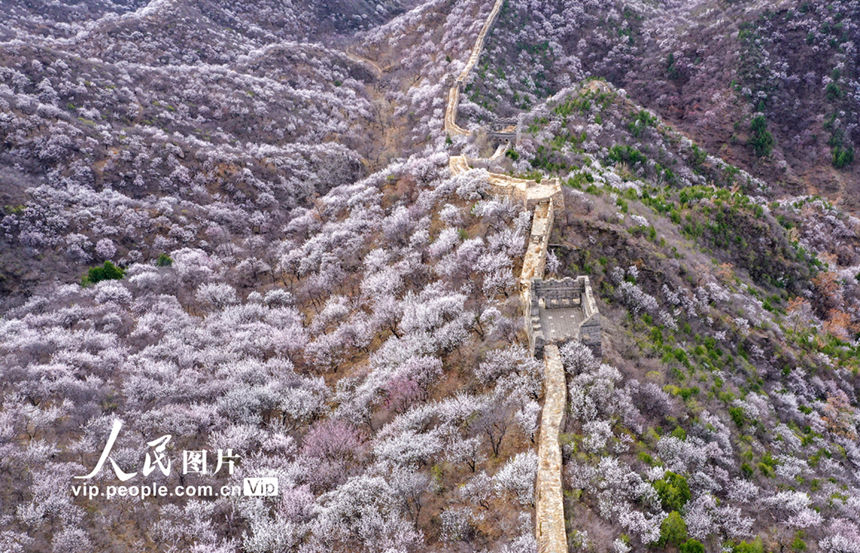 ????: ????? ?????? ???????? ???? ??? ????? ??????