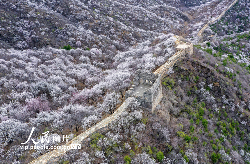 ????: ????? ?????? ???????? ???? ??? ????? ??????