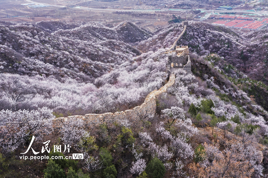 ????: ????? ?????? ???????? ???? ??? ????? ??????