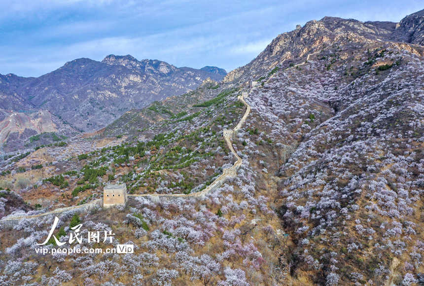 ????: ????? ?????? ???????? ???? ??? ????? ??????