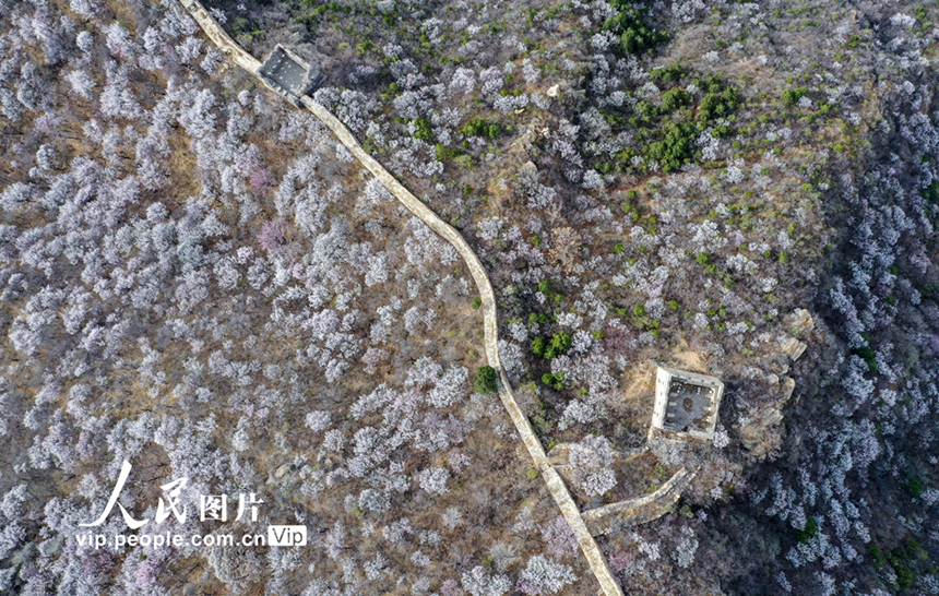 ????: ????? ?????? ???????? ???? ??? ????? ??????