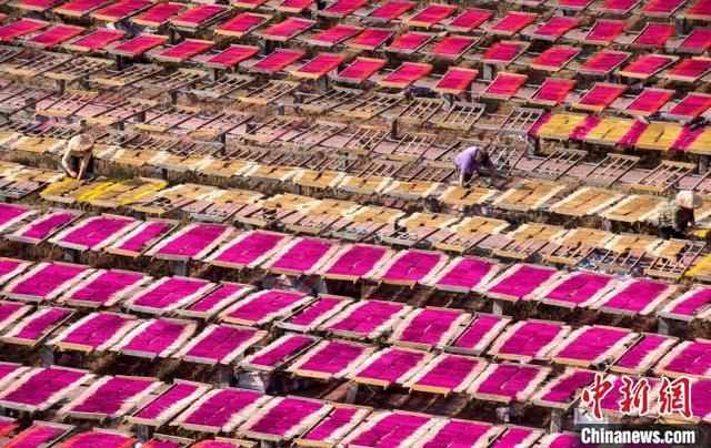 ????????? ??????: ??? ???? ????? ????