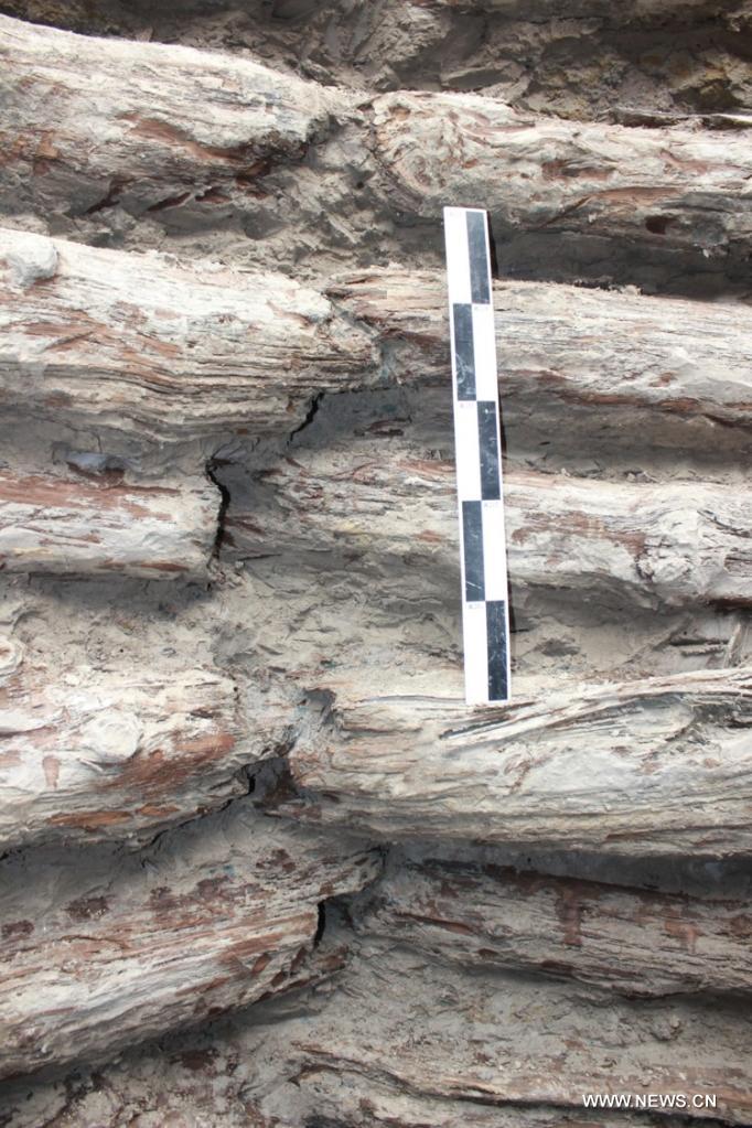 ?????? ??? ?? ???? ???? ??? ???? ??? ?? ????? ?????