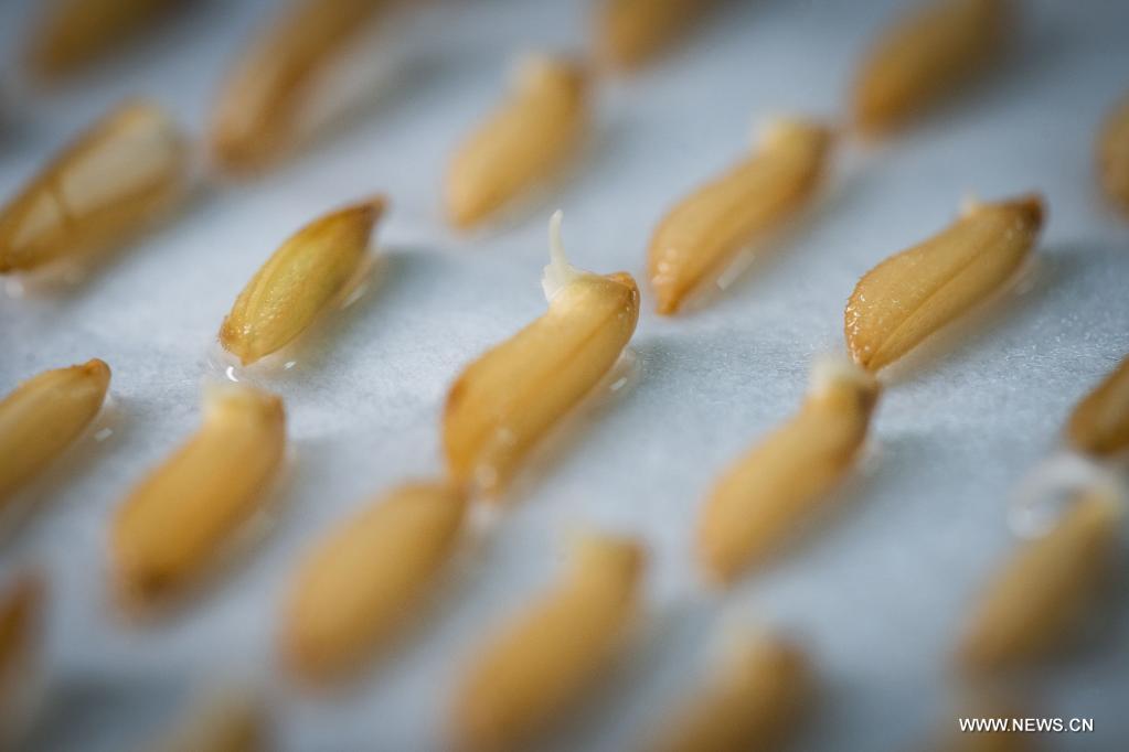 ????? ????? ????? ???????? ?? ??? ?????? ?????? ?????