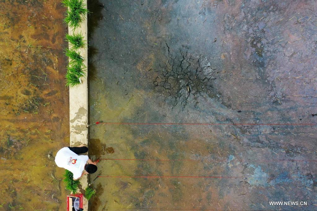 ????? ????? ????? ???????? ?? ??? ?????? ?????? ?????