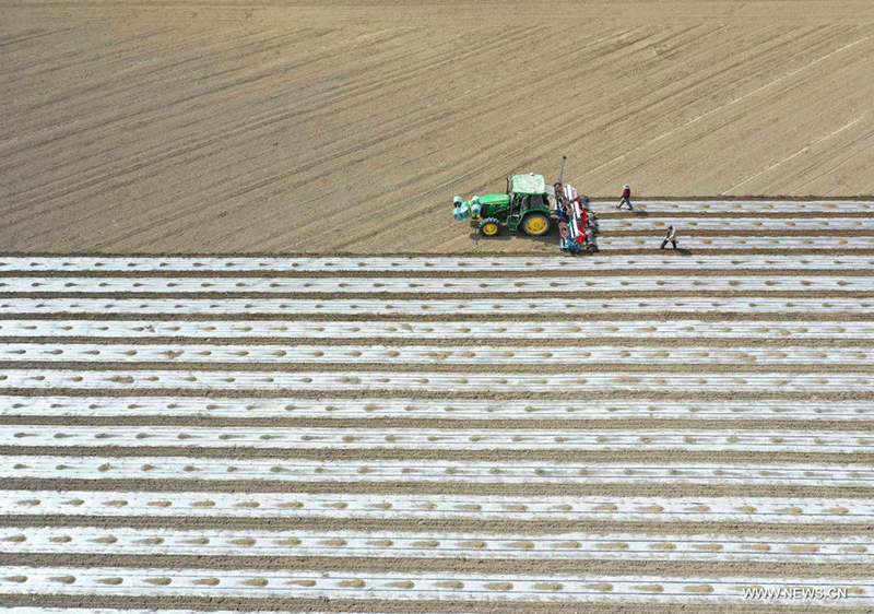 ????? ????? ?? ?????? ?????? ????????