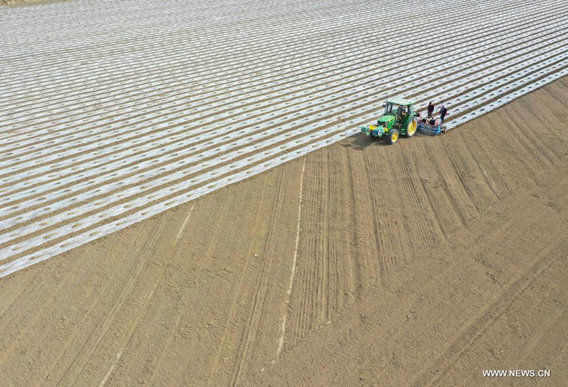 ????? ????? ?? ?????? ?????? ????????