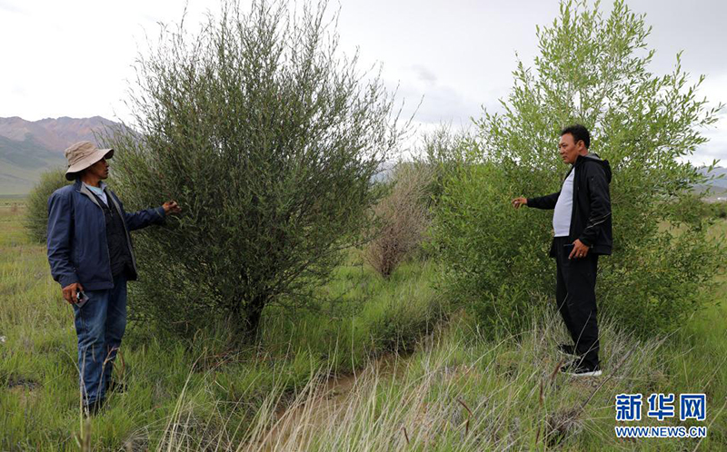 ??????? ???? ???? ??? 