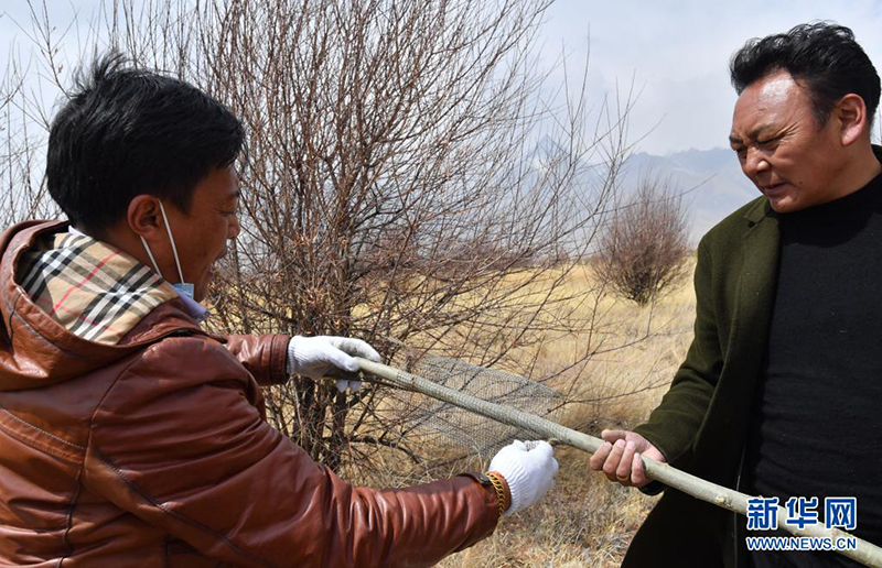 ??????? ???? ???? ??? 