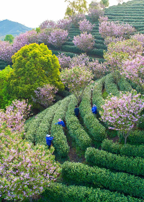 ?????? ???????: ??? ???? ??? ??????? ???? ?????? ?? ?????