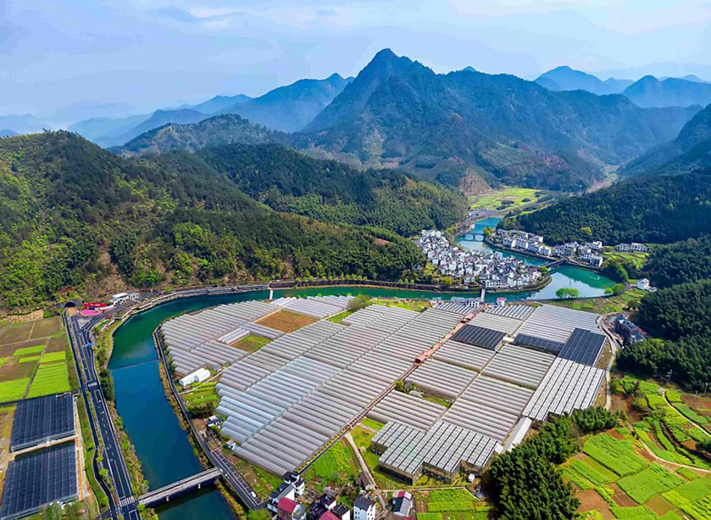 ?????? ???????: ??? ???? ??? ??????? ???? ?????? ?? ?????