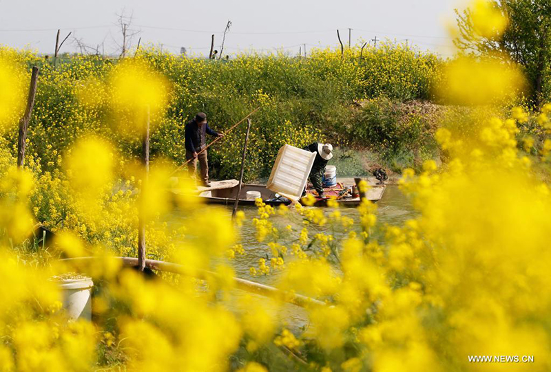 ?????? ???????? ??????? ?? ?????? ??????? ???? ?????