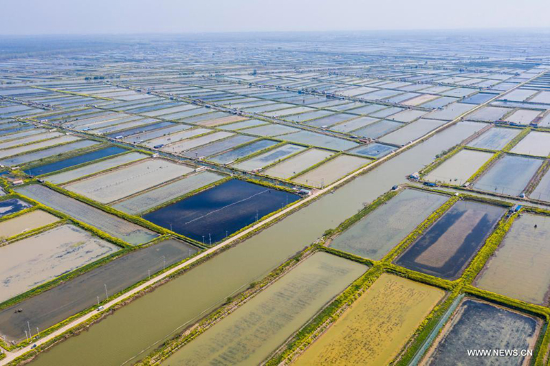 ?????? ???????? ??????? ?? ?????? ??????? ???? ?????