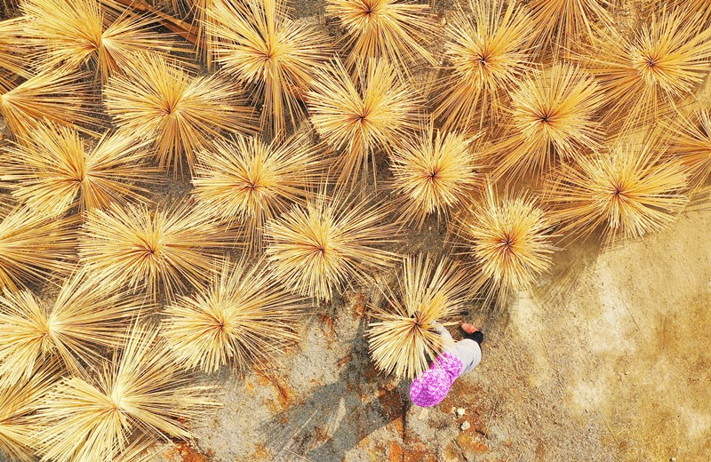 ????? ??????: ?? ??????? ?? ??? ????? ??????? ??????? ??? ?? ?????