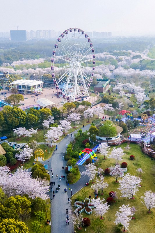 ????? ??????: ?? ??????? ?? ??? ????? ??????? ??????? ??? ?? ?????