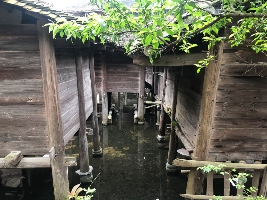 ???? ?? ????.. ???? ???? ???? ?? ???? ????? ????? ??????