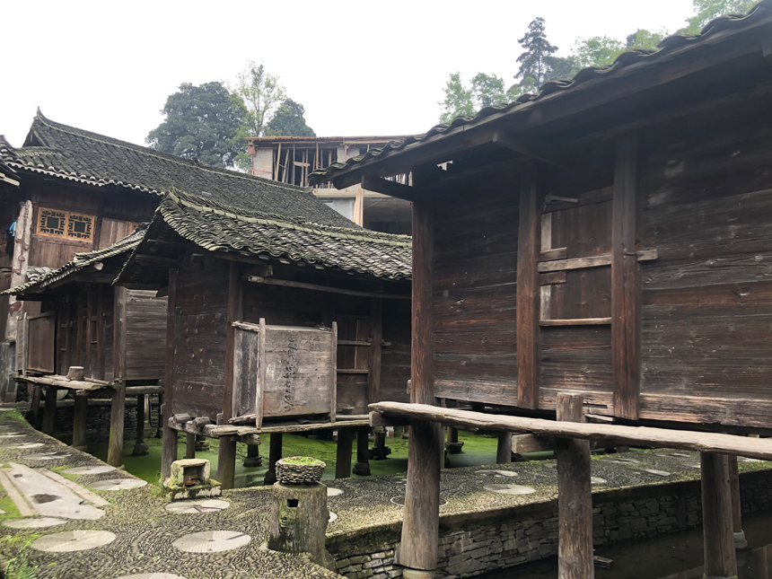 ???? ?? ????.. ???? ???? ???? ?? ???? ????? ????? ??????