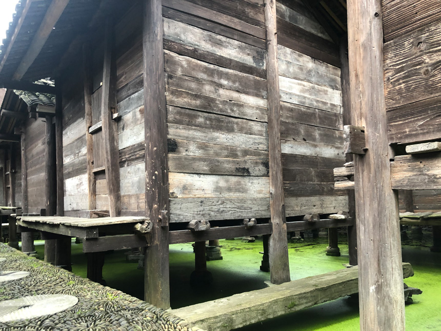 ???? ?? ????.. ???? ???? ???? ?? ???? ????? ????? ??????