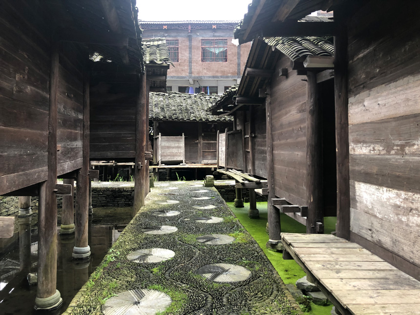 ???? ?? ????.. ???? ???? ???? ?? ???? ????? ????? ??????