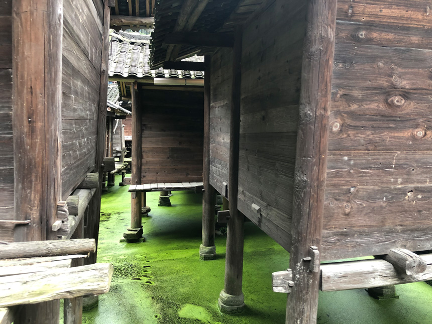 ???? ?? ????.. ???? ???? ???? ?? ???? ????? ????? ??????