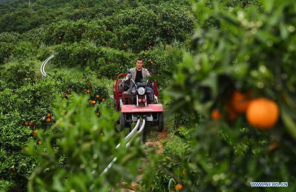 ????? ?????? ?????????? ????? ??? ???? ???? ?????? ???????? ???? ??????