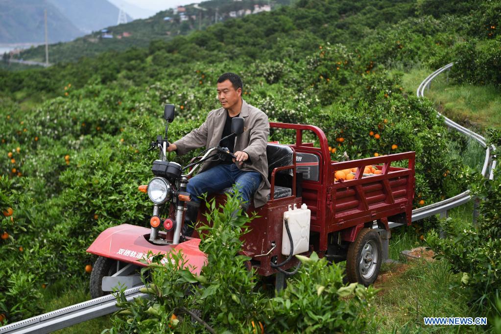 ????? ?????? ?????????? ????? ??? ???? ???? ?????? ???????? ???? ??????