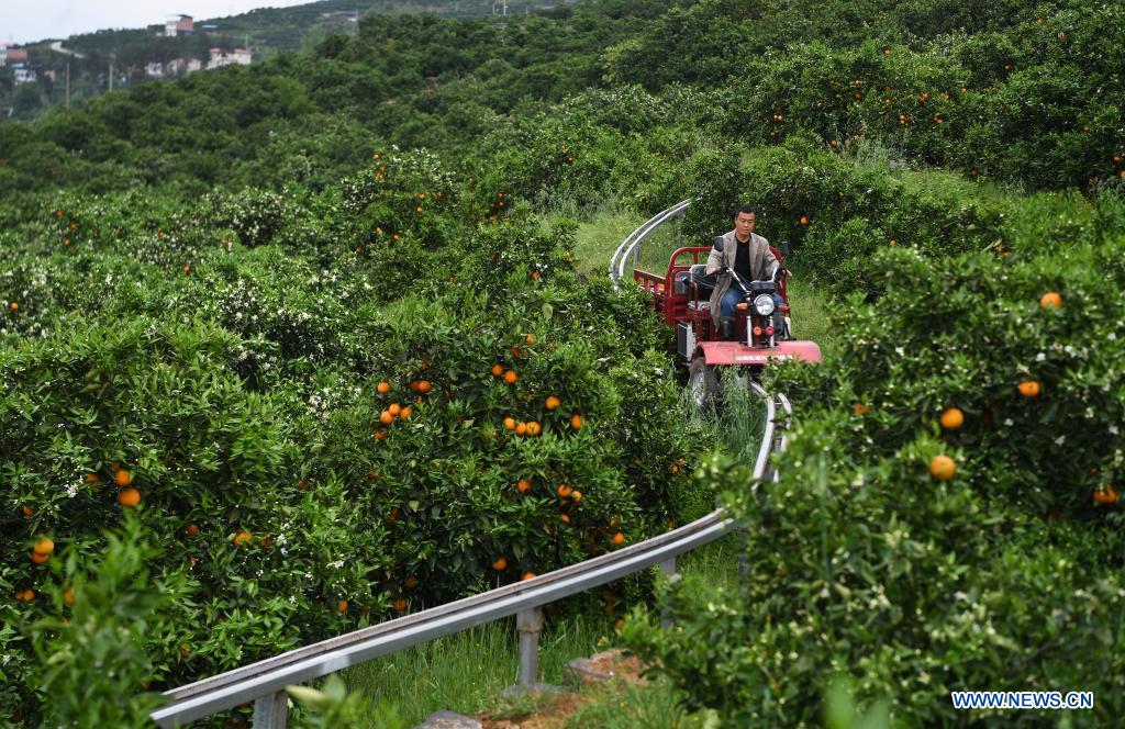 ????? ?????? ?????????? ????? ??? ???? ???? ?????? ???????? ???? ??????