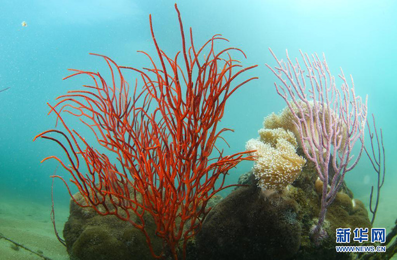 ????? ???? ???? ??????? ?????? ??????????? ????? ?????