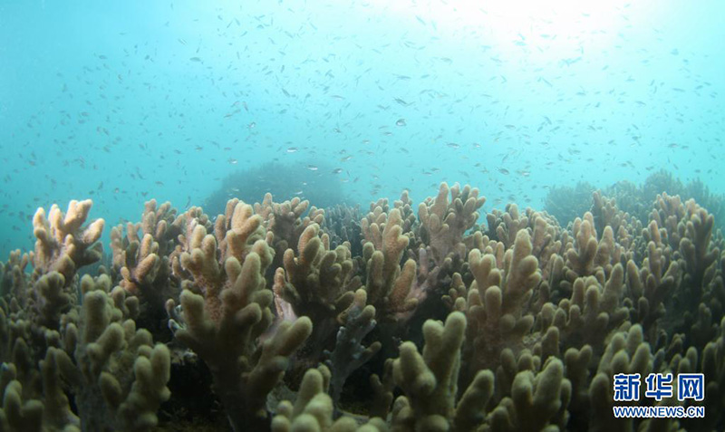 ????? ???? ???? ??????? ?????? ??????????? ????? ?????