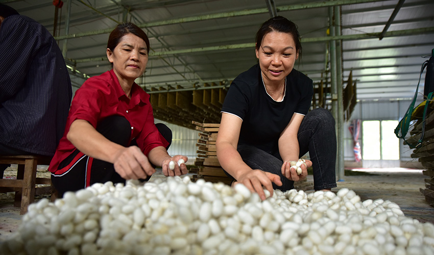 ??????? ???????: ????? ???? ?????? ???? ???? ???? ??? ????????