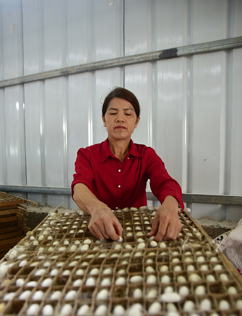 ??????? ???????: ????? ???? ?????? ???? ???? ???? ??? ????????