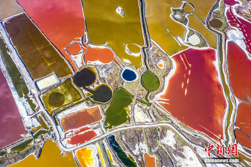 ??????? ? ?????: ????? ????? ????? ??? ??????? ?????? ??????? ?????? ?? ?????? ???? ???????