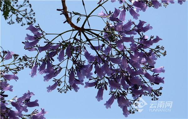 ???????: ?????? ?????? ???? ????????? ???? ?????? ?? ???? ???????