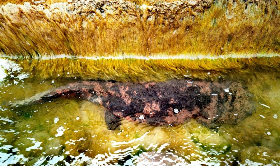 ??? ?????? ???? ???? 50 ??? ????? ???? ?????