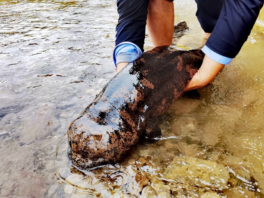 ??? ?????? ???? ???? 50 ??? ????? ???? ?????