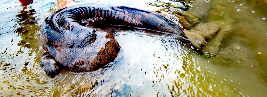 ??? ?????? ???? ???? 50 ??? ????? ???? ?????