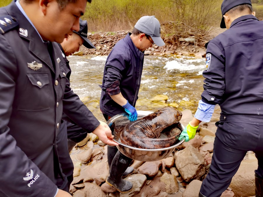 ??? ?????? ???? ???? 50 ??? ????? ???? ?????