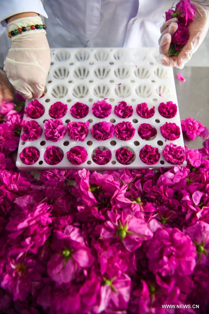 ????? ????? ????? ?????? ?? ???? ?????