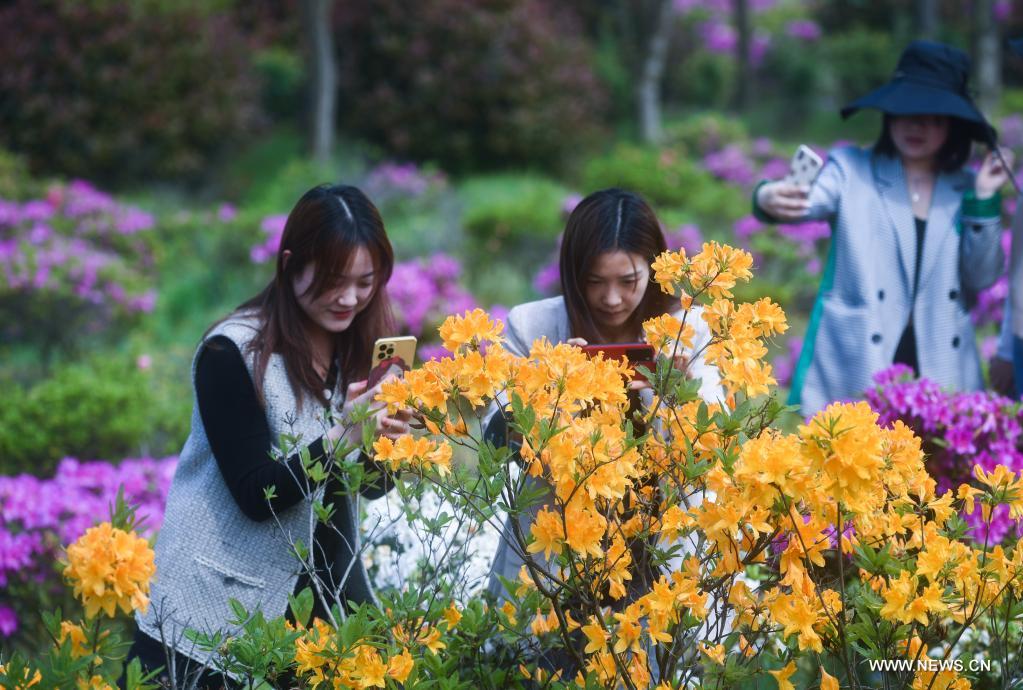 ????? ????? ????? ?????? ?? ???? ?????