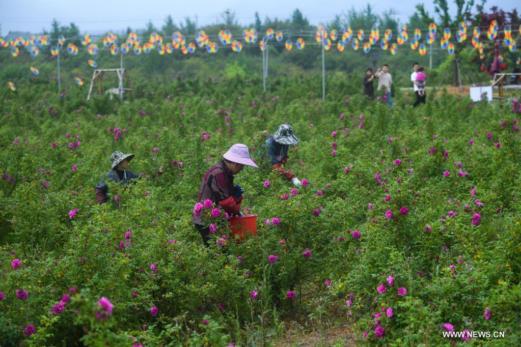 ????? ????? ????? ?????? ?? ???? ?????